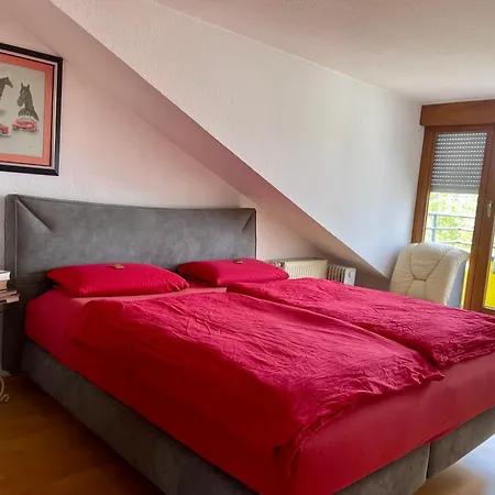 Wunderschoenes Grosses 3 Zentrum Goldstadt Familienfreundlich Mit Garage Apartment *